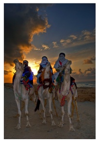Touareg men on camels